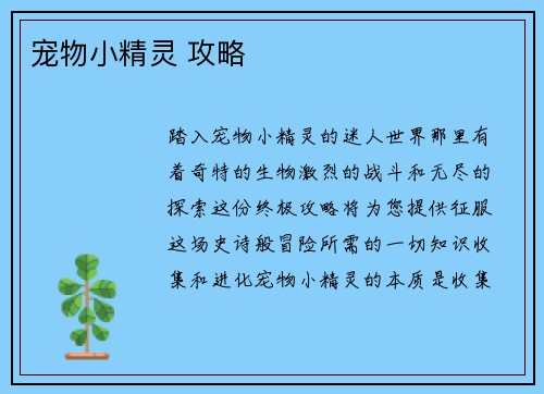 宠物小精灵 攻略